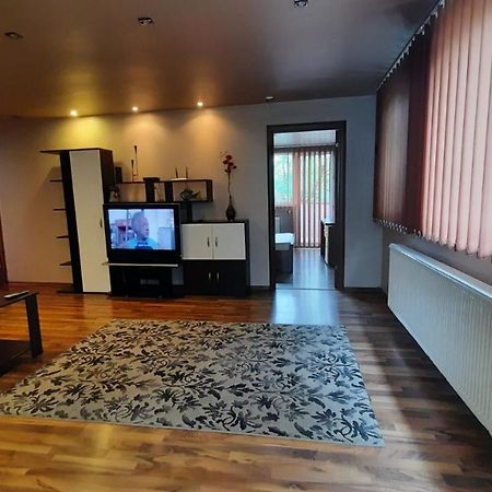Apartament Laurentiu - Etaj.1 布加勒斯特 外观 照片