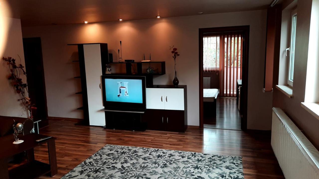 Apartament Laurentiu - Etaj.1 布加勒斯特 外观 照片
