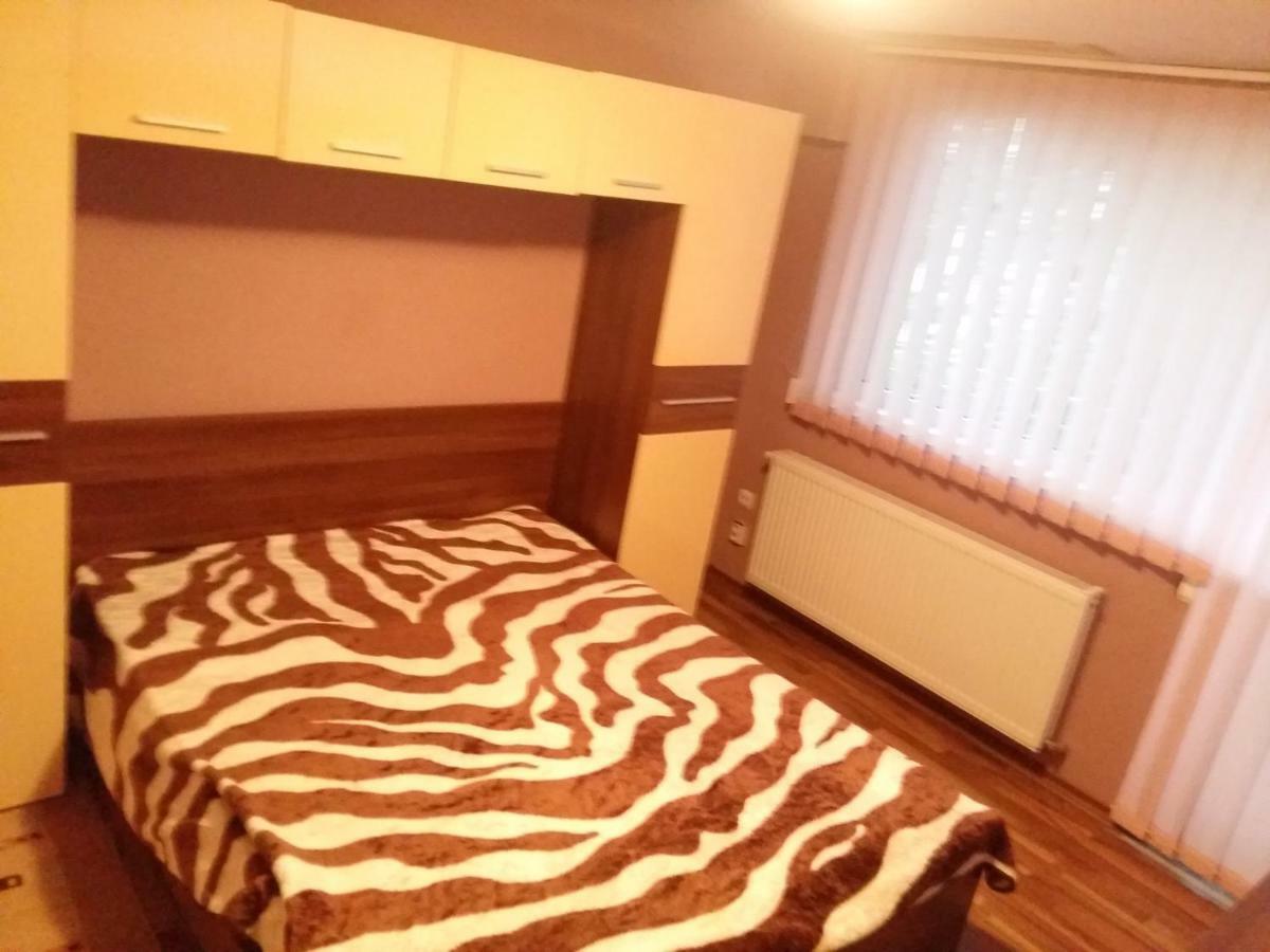 Apartament Laurentiu - Etaj.1 布加勒斯特 外观 照片